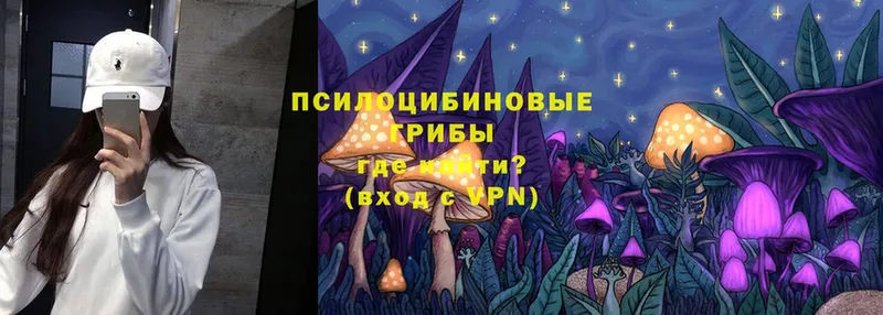 блэк спрут онион  Ленск  Псилоцибиновые грибы Psilocybe 